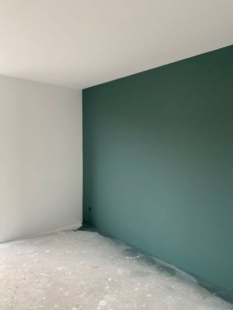 Painting Services work